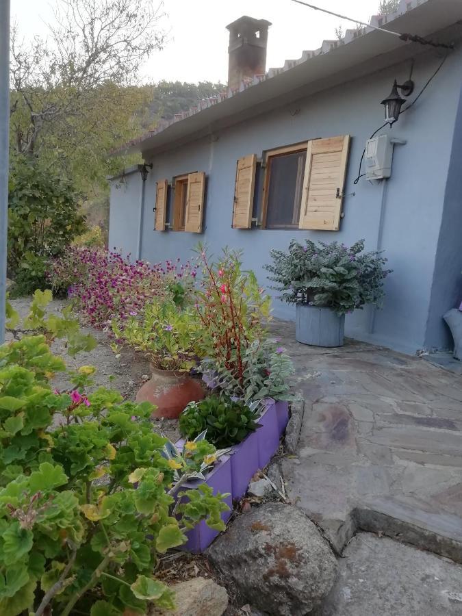 Myrovolos Villa Armenistis  Exteriör bild
